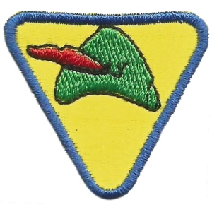 Sprawność Zespołowa Piotruś Pan