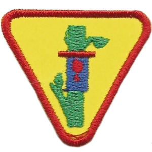 Sprawność Indywidualna Ptasia Opiekunka/Opiekun