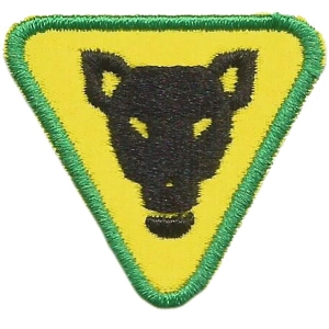 Sprawność Zespołowa Mowgli