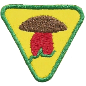 Sprawność Indywidualna Zbieraczka/Zbieracz Grzybów