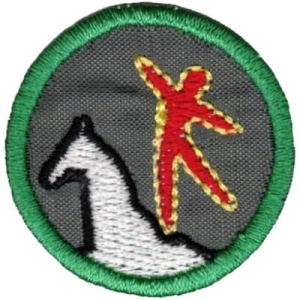 Sprawność Woltyżerka/Woltyżer