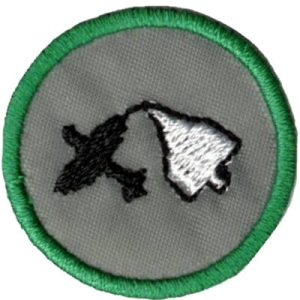 Sprawność Radiomodelarka/Radiomodelarz