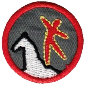 Sprawność Woltyżerka Doskonała/Woltyżer Doskonały