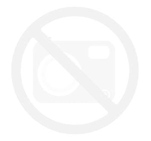 Butelka Tritan Kambukka Lagoon 400ml Cactus Gekko 1.jpg