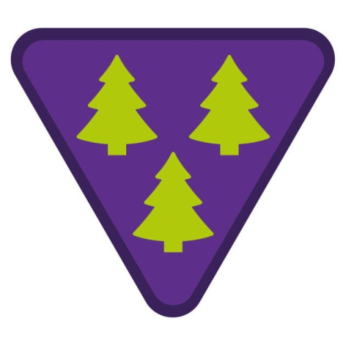 large_tropy-zuchowe-lesnicy-zhp-reforma-sim-system-identyfikacji-metodycznej.jpg