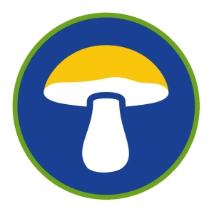 Sprawność Harcerska ZHP SIM - Znawca Grzybów