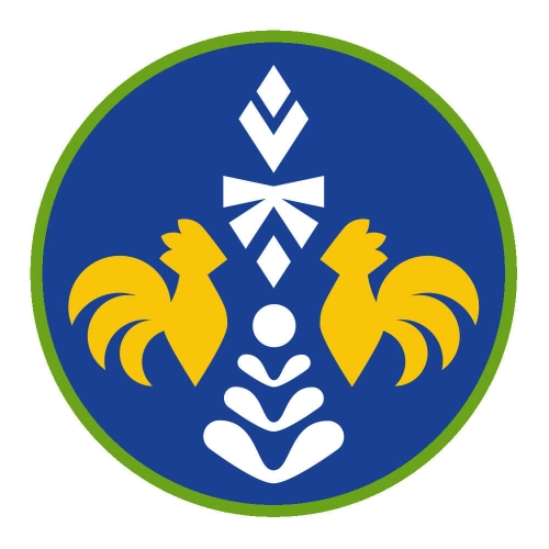Sprawność Harcerska ZHP SIM - Etnograf 3.jpg