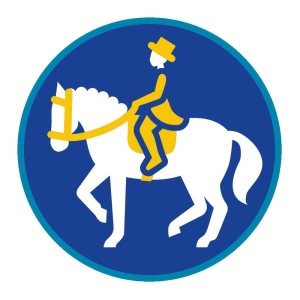 Sprawność ZHP SIM Adept / Adeptka Ujeżdżenia
