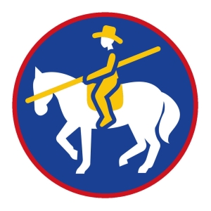 Sprawność Harcerska ZHP SIM - Zawodnik Work. Equit