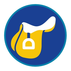 Sprawność Harcerska ZHP SIM - Saddle Fitter