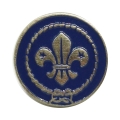 znaczek_wosm.jpg
