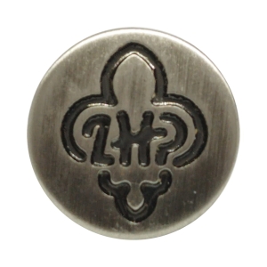 Znaczek z Logo ZHP Jasny