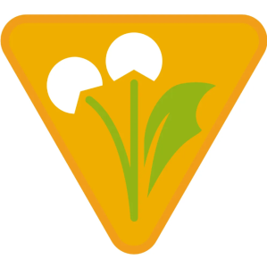 Sprawność Zuchowa ZHP SIM - Zielarz