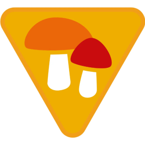 Sprawność Zuchowa ZHP SIM - Zbieracz