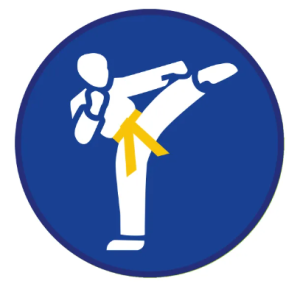 Sprawność Harcerska ZHP SIM - Znawca Sztuk Walki