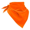 Pomarańczowa 3.jpg