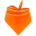 Pomarańczowa 2.jpg
