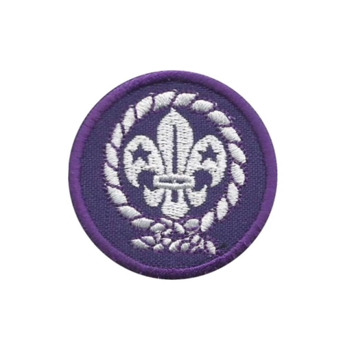 Plakietka Harcerska WOSM.jpg