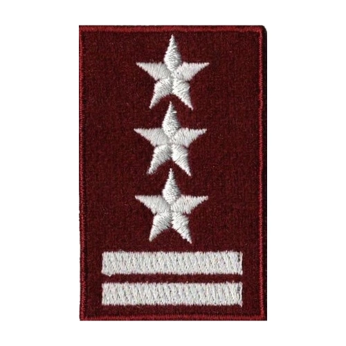 Stopień Wojskowy na Beret - Pułkownik Bordowy.jpg