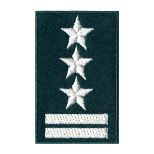 Stopień Wojskowy na Beret - Pułkownik Zielony.jpg