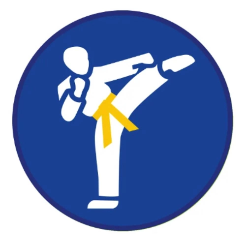 Sprawność Harcerska ZHP SIM - Znawca Sztuk Walki.jpg